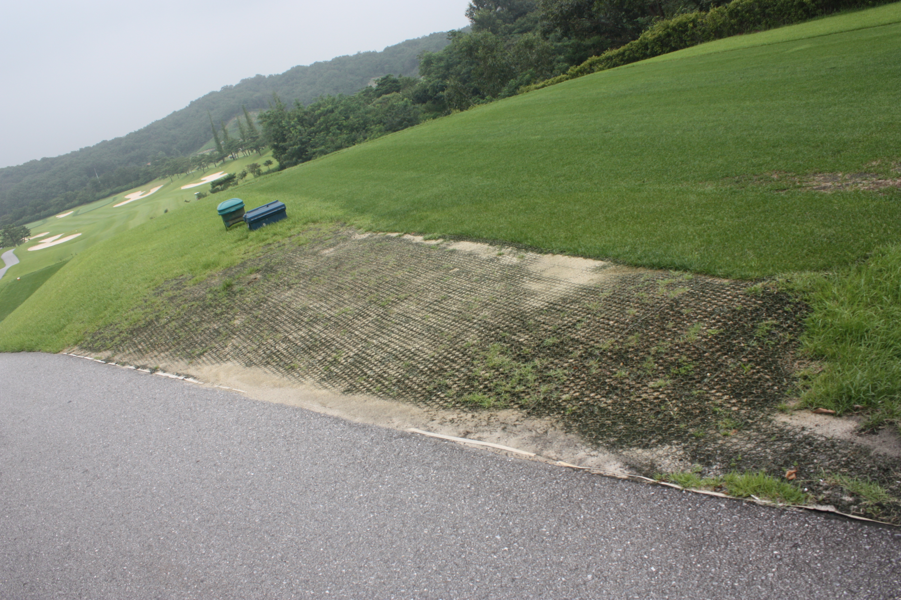 施工前　踏圧保護用ノーマル色