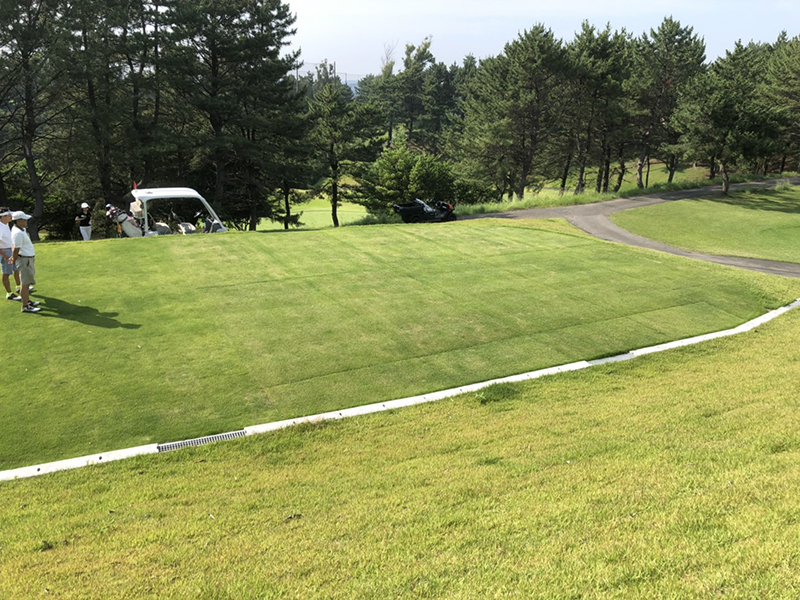 ザ　ナショナルカントリ倶楽部　千葉　（千葉県）西コース　１番ホール　ティーグラウンド施工２週間後