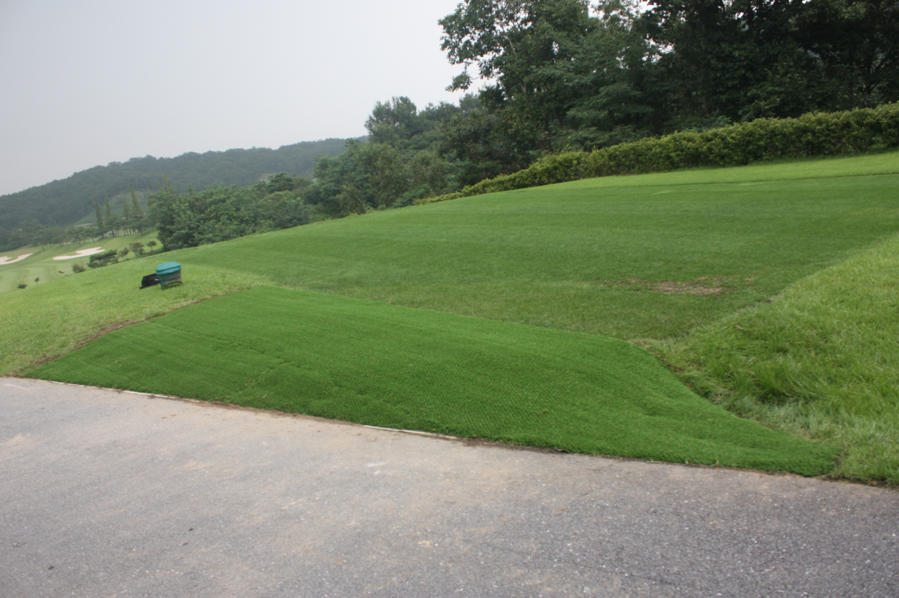 施工後　踏圧保護用ノーマル色