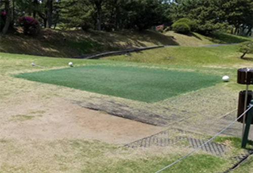 施工前　踏圧保護用ノーマル色