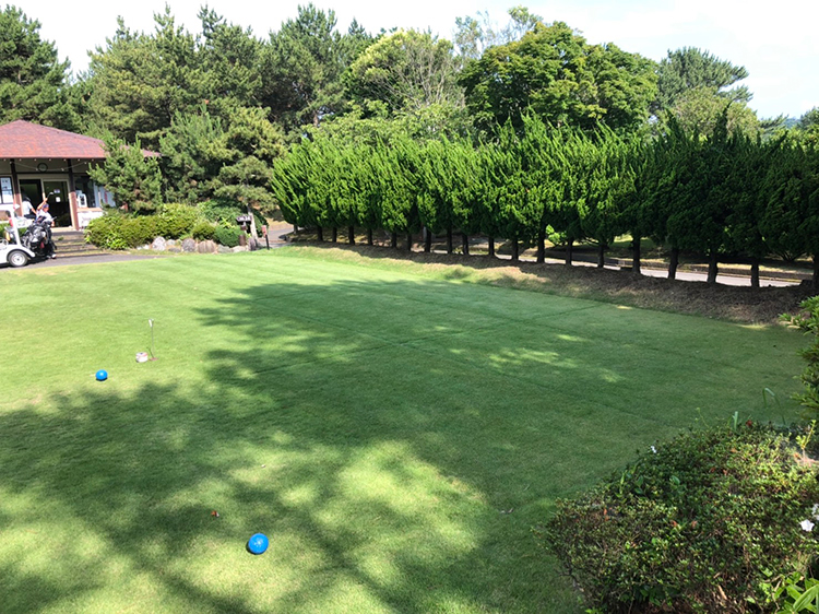 施工後　踏圧保護用ノーマル色