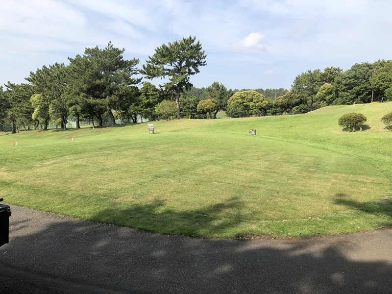 鹿島の杜カントリー倶楽部　（茨城県）踏圧保護用　施工２週間後