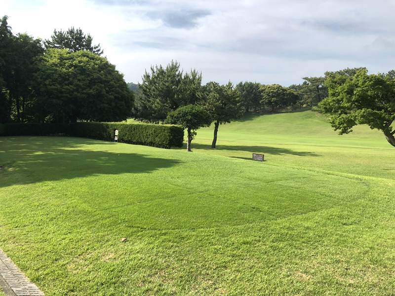 紫カントリークラブすみれコース（千葉県）踏圧保護用　施工１ヶ月後　