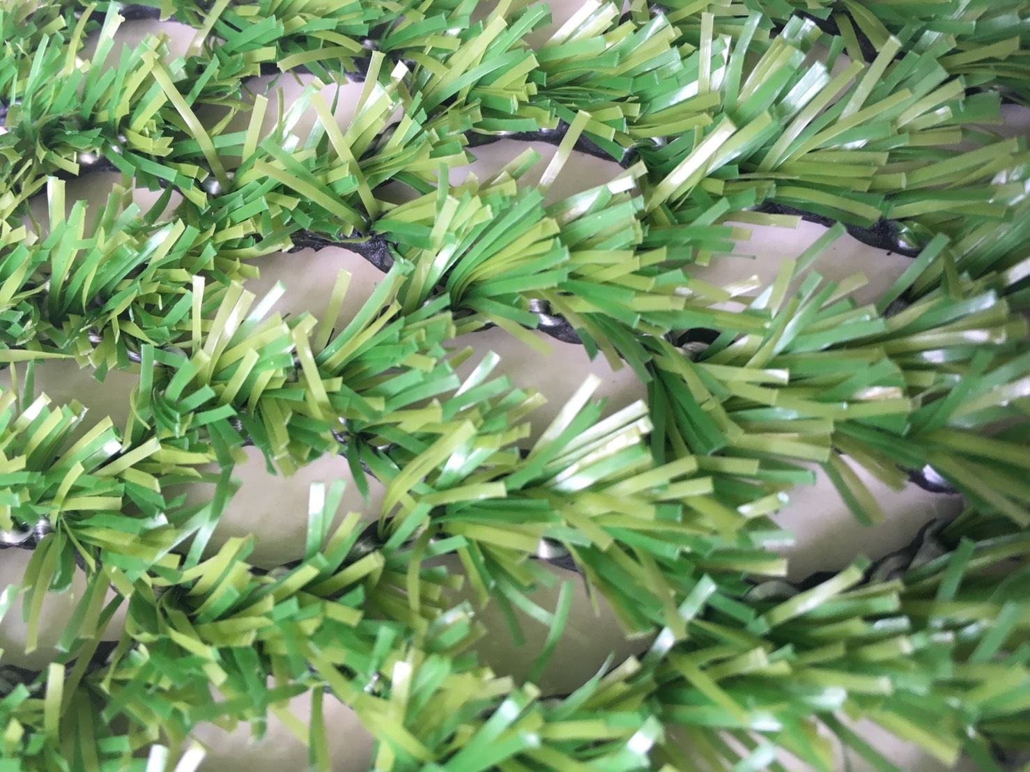 ティーグラウンド　ノーマル色、高麗色の写真1