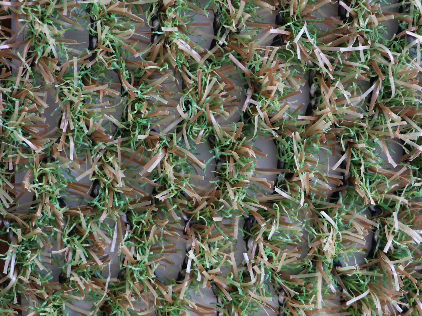 ティーグラウンド　ノーマル色、高麗色の写真2