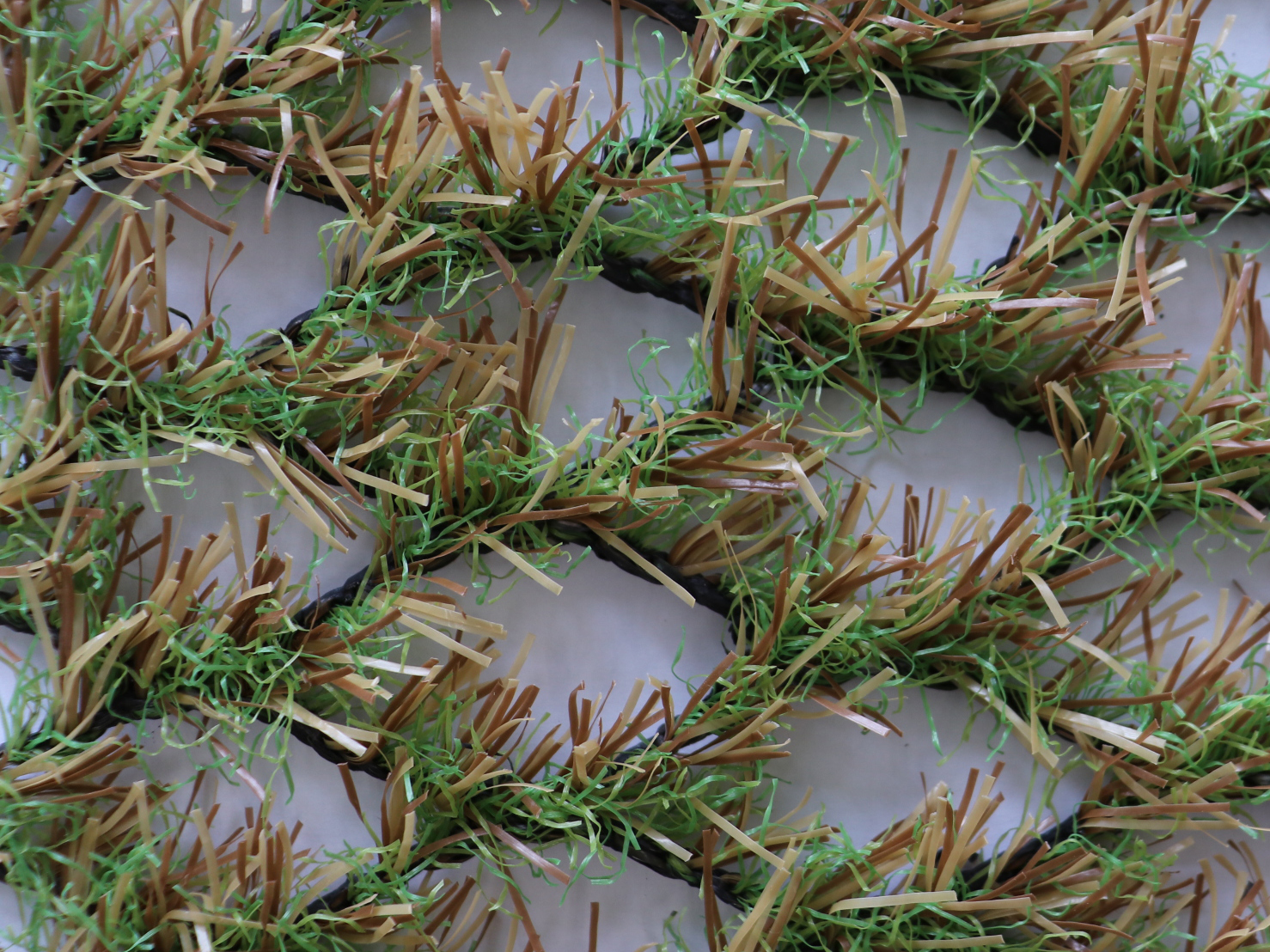 踏圧保護用　ノーマル色、高麗色の写真2