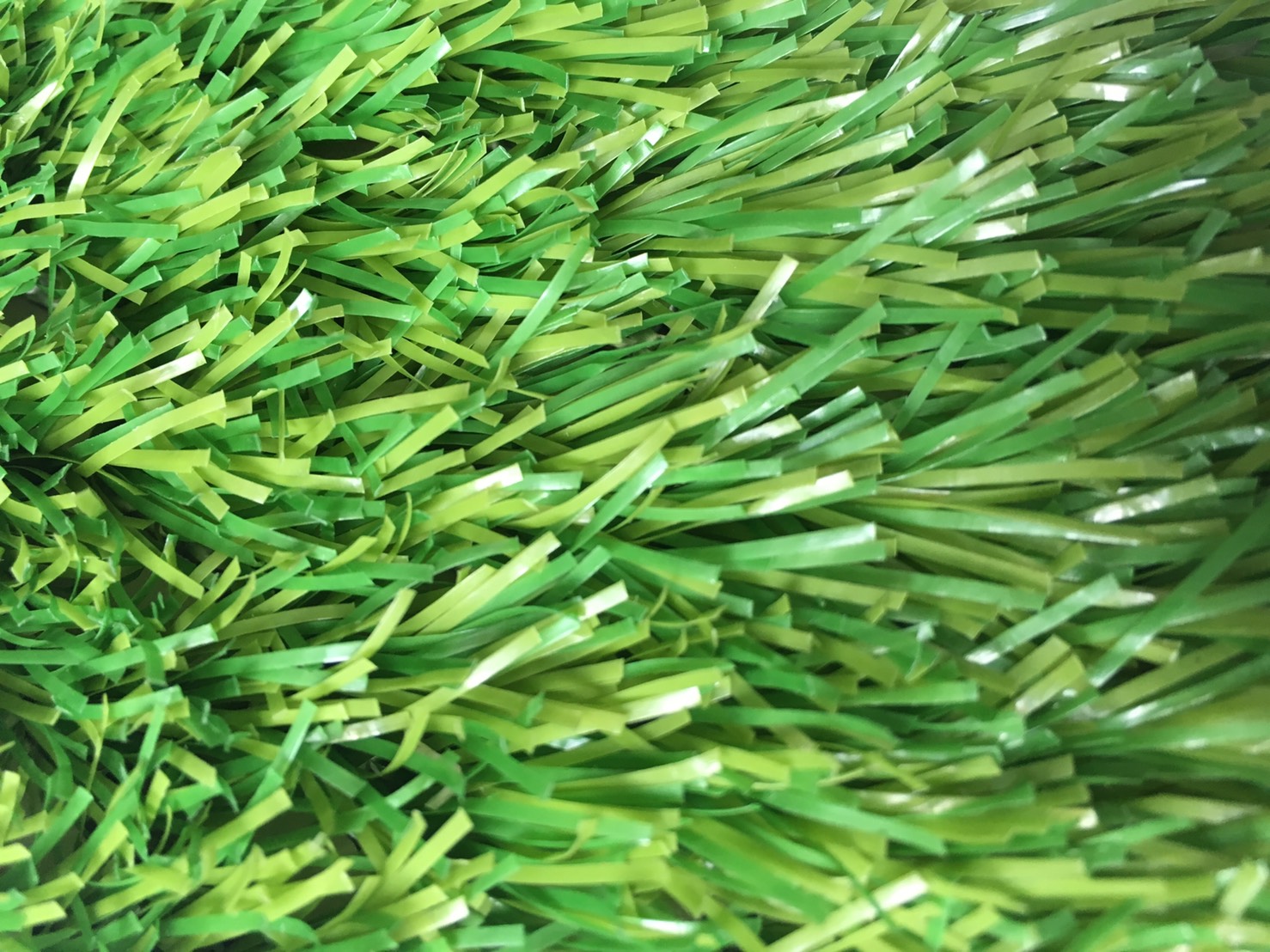 裸地用　ノーマル色の写真