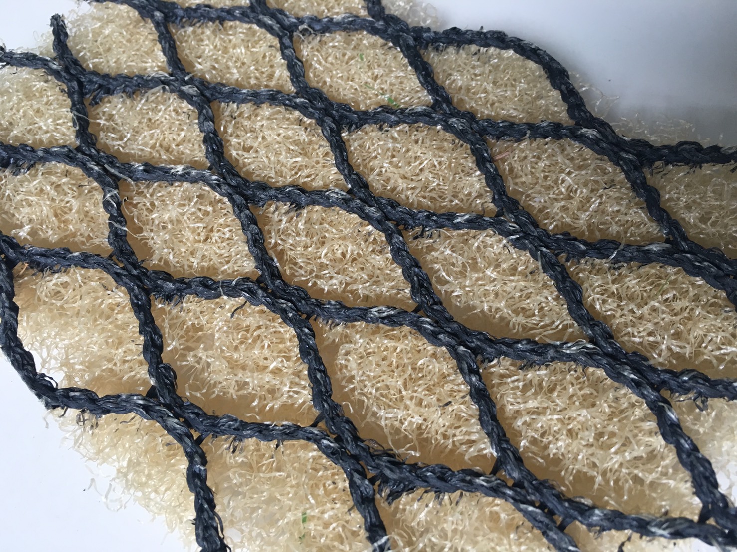 バンカープロテクト写真2