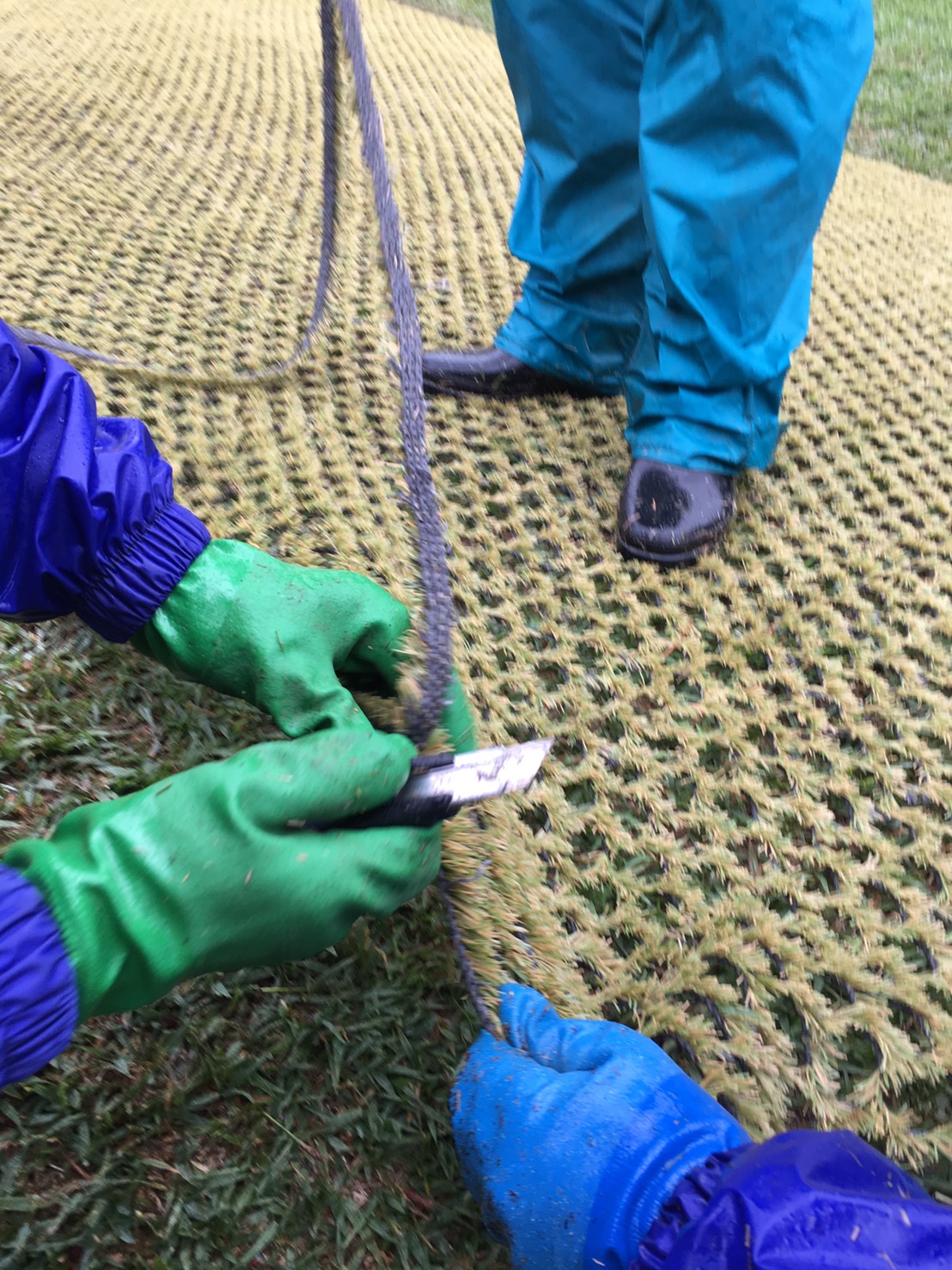 カバーローンを広げ、フチ部分を切り取る。