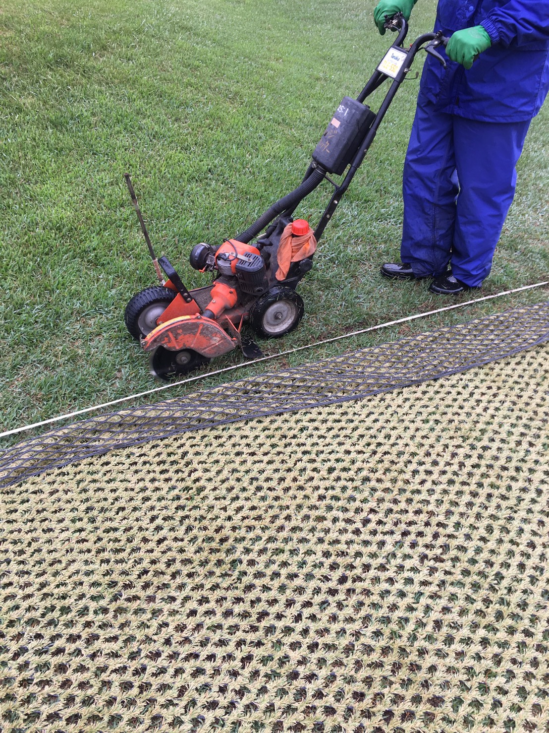 カバーローンの縁を、動かないように地中に埋設。