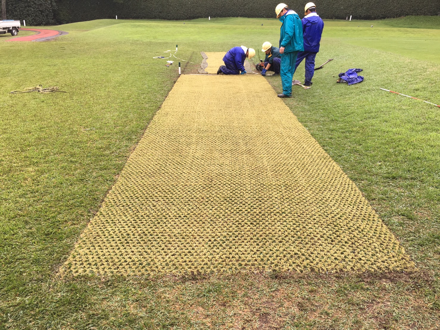 カバーローン設置後は約50cm間隔でUPIN等で固定